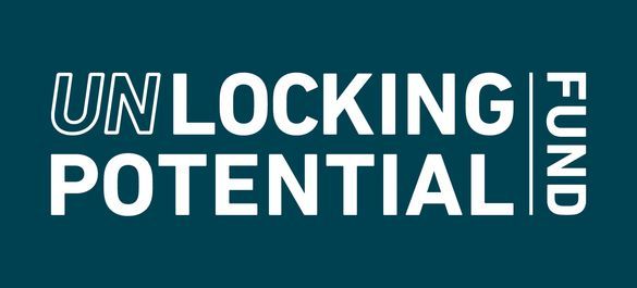 Unlocking Potential Grant icon